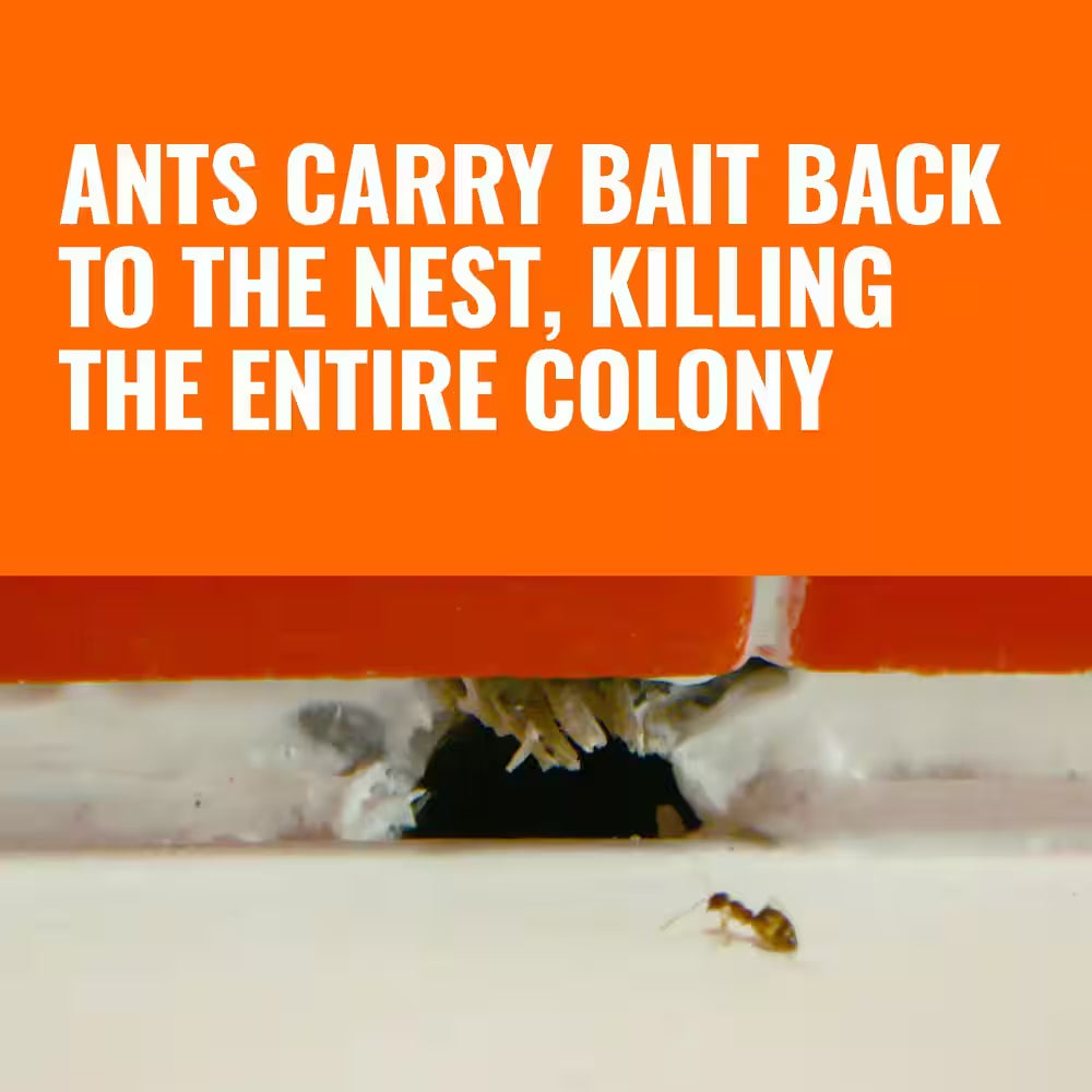 Indoor Ant Killer Liquid Bait Stations – Fast-Acting Ant Control Traps, 6 Count
